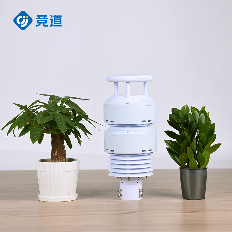 負(fù)氧離子傳感器