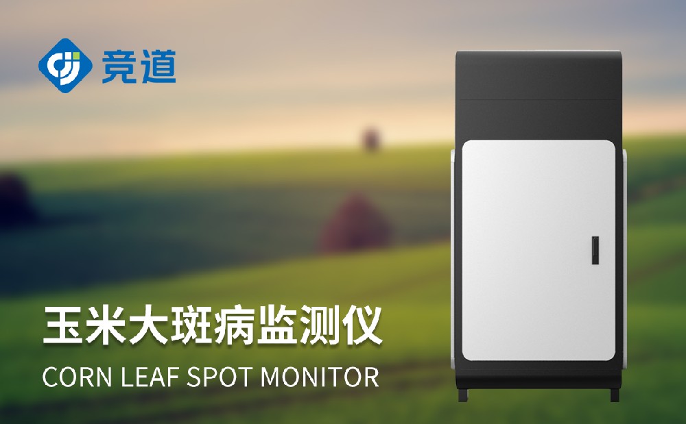 玉米大斑病防治新手段，玉米大斑病監(jiān)測(cè)儀提升病害治理能力