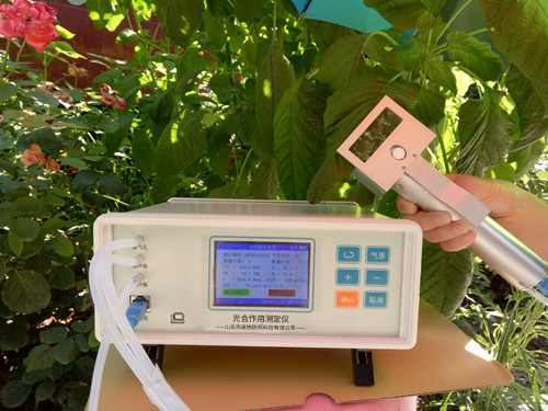 植物氣孔針有何應用？